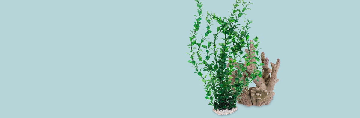 Aquaristik