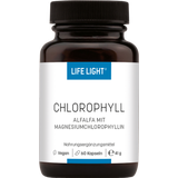Life Light Chlorophyll