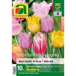 AUSTROSAAT Gefranste Tulpen Mischung - 10 Zwiebeln
