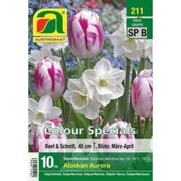 Tulpen & Narzissen Mischung 