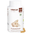 Hawlik Pleurotus Extrakt Kapseln Bio - 240 Kapseln