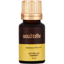 soultree Everyday Radiance Essentials - 1 Set
