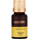 soultree Everyday Radiance Essentials - 1 Set