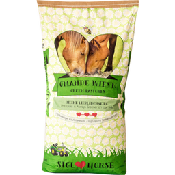 Siglhorse Gmadhe Wies'n