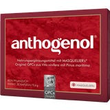Original Masqueliers Anthogenol OPC Kapseln