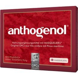 Original Masqueliers Anthogenol OPC Kapseln - 30 Kapseln