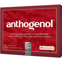 Anthogenol OPC Kapseln, 30 Kapseln