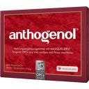 Anthogenol OPC Kapseln, 30 Kapseln