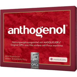 Original Masqueliers Anthogenol OPC Kapseln - 30 Kapseln