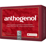 Original Masqueliers Anthogenol OPC Kapseln
