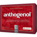 Original Masqueliers Anthogenol OPC Kapseln - 90 Kapseln