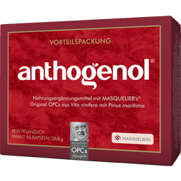 Original Masqueliers Anthogenol OPC Kapseln - 90 Kapseln