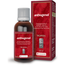 Original Masqueliers Anthogenol OPC Tropfen - 50 ml