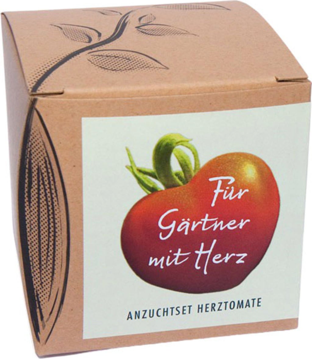 Naturkraftwerk Anzuchtset 