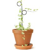 Botanopia Rankhilfe "Mini Plant Stake" - Schwarz