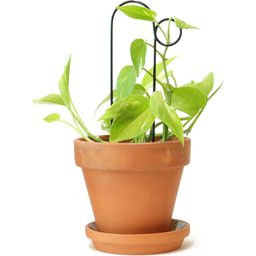 Botanopia Rankhilfe "Mini Plant Stake" - Schwarz