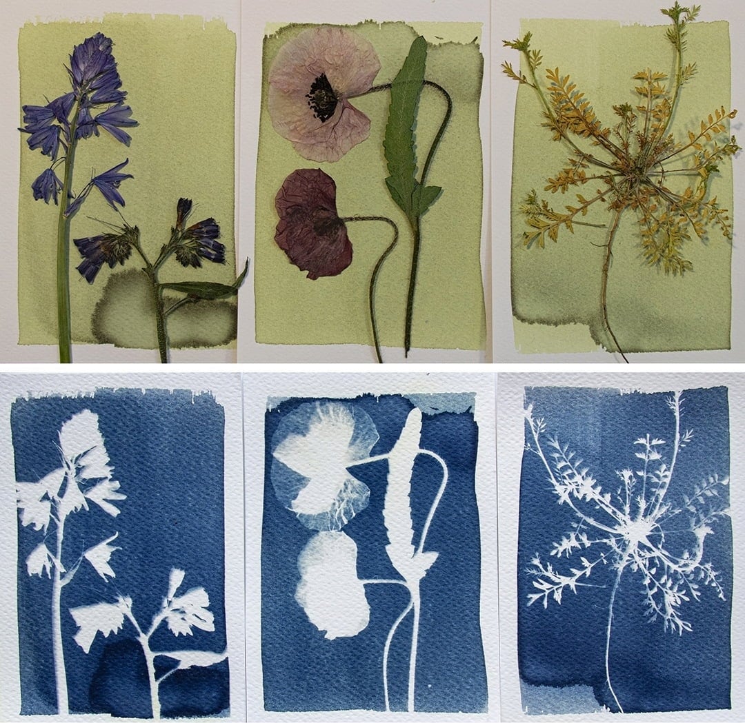 Botanopia Bausatz 