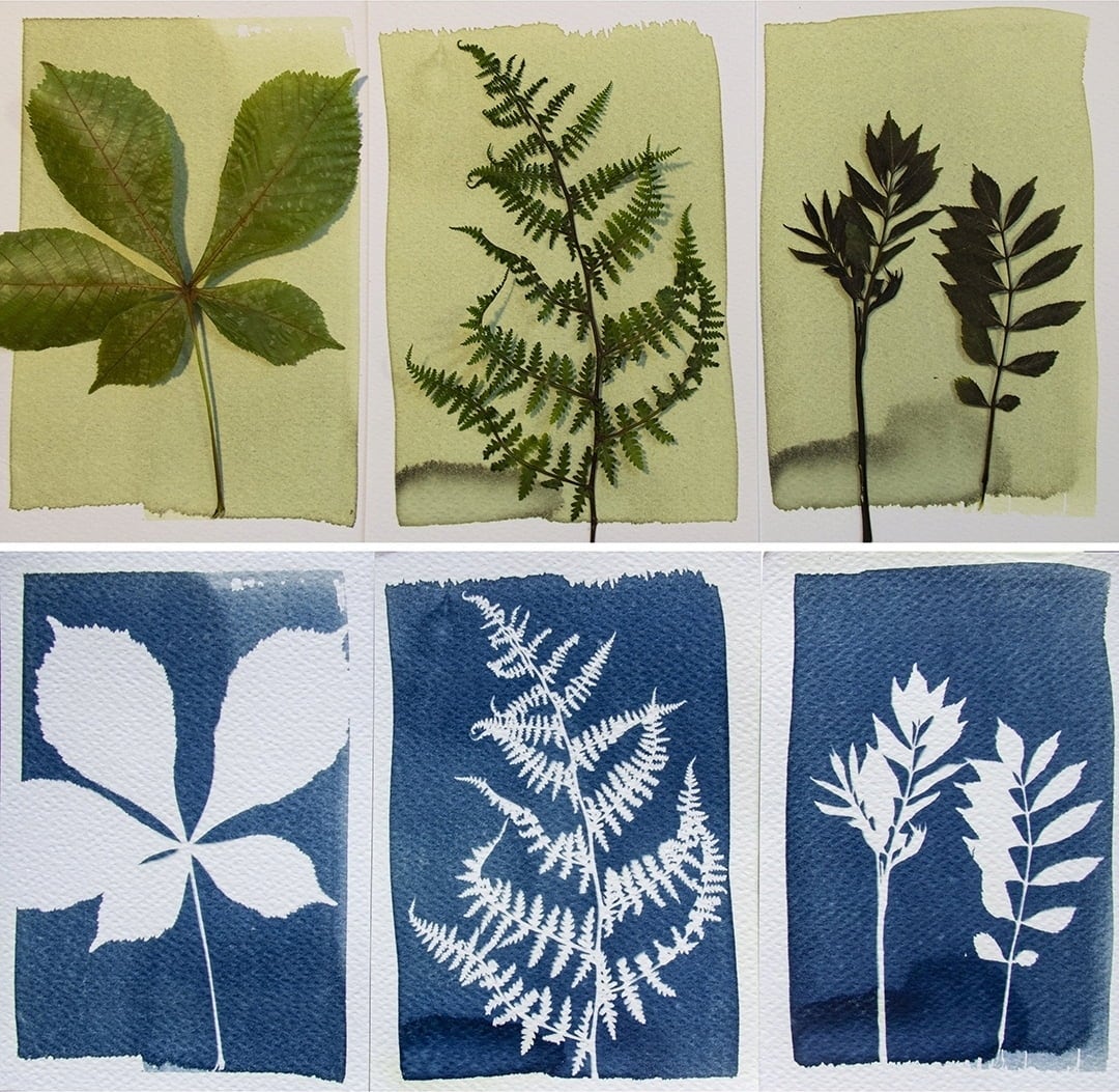 Botanopia Bausatz 