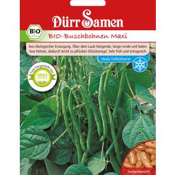 Dürr Samen BIO-Maxi Buschbohnen - 1 Pkg
