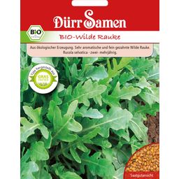 Dürr Samen BIO-Wilde Rauke - 1 Pkg