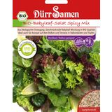 Dürr Samen BIO-Babyleaf-Salat Spicy Mix