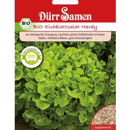 Dürr Samen BIO Eichblattsalat Hardy grün - 1 Pkg