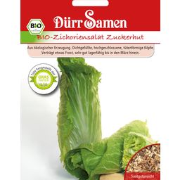 Dürr Samen BIO-Zichoriensalat Zuckerhut - 1 Pkg