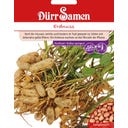 Dürr Samen Erdnuss - 1 Pkg