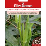 Dürr Samen Okra/ Gemüse-Eibisch Clemson Spineless