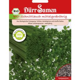 Dürr Samen BIO Schnittlauch Mittelgrobröhrig Nelly - 1 Pkg