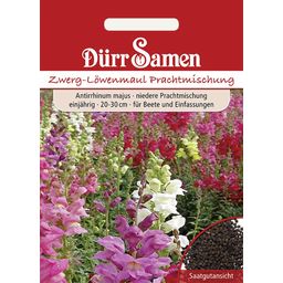 Dürr Samen Zwerg-Löwenmaul - 1 Pkg