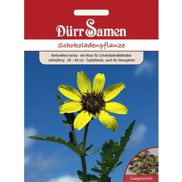 Dürr Samen Schokoladenpflanze - 1 Pkg