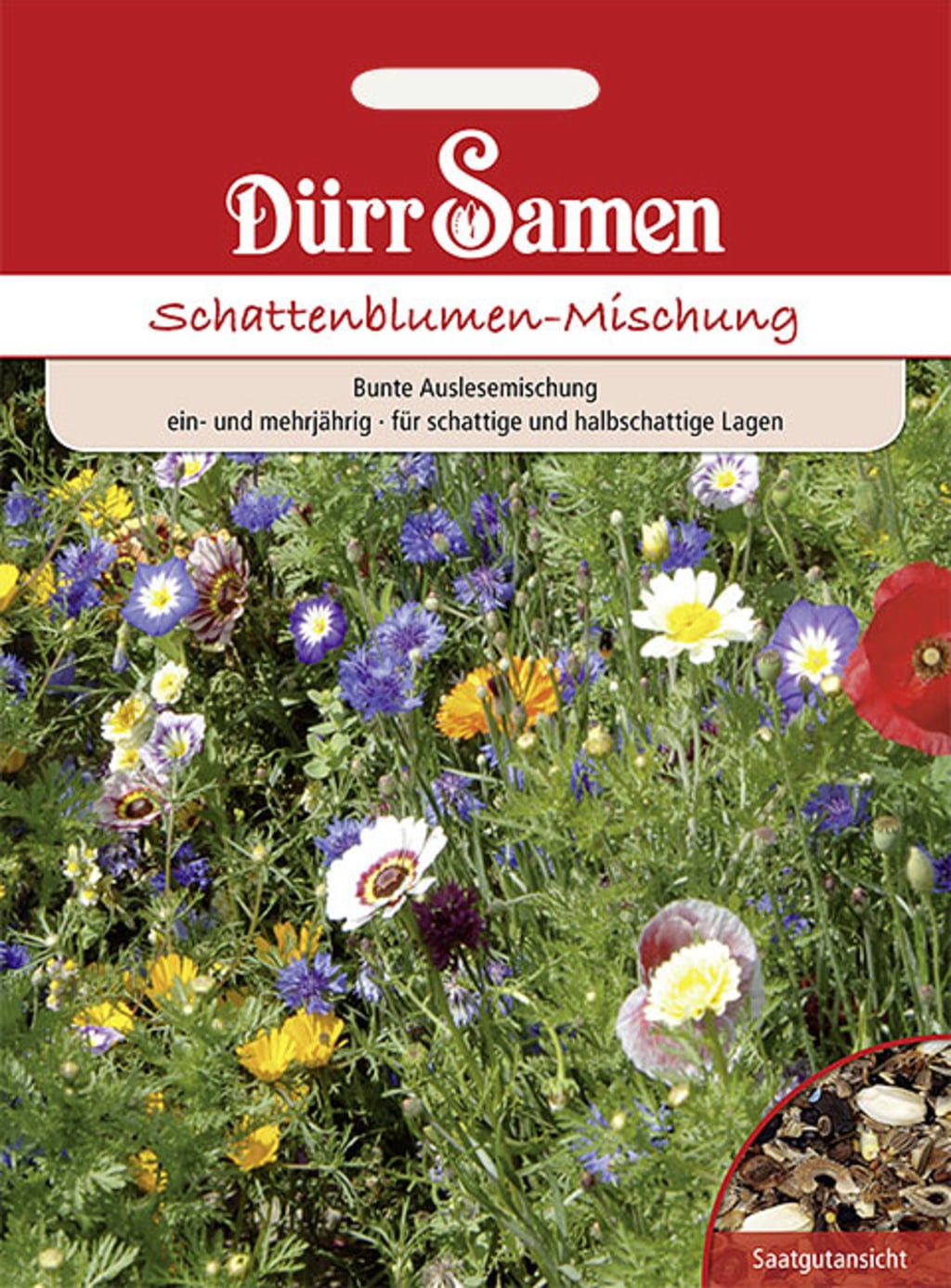 Schattenblumen-Mischung