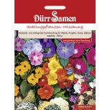 Dürr Samen Schlingpflanzen Mischung