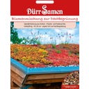 Dürr Samen Blumenmischung zur Dachbegrünung - 1 Pkg