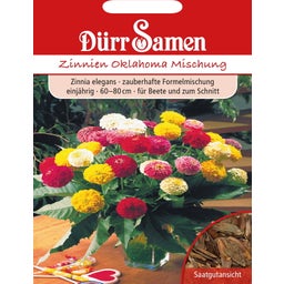 Dürr Samen Zinnien Oklahoma - 1 Pkg