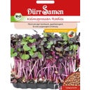 Dürr Samen BIO-Keimsprossen Radies - 75 g