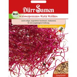 Dürr Samen BIO-Keimsprossen Rote Rüben - 1 Pkg