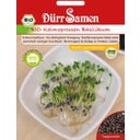 Dürr Samen BIO-Keimsprossen Basilikum - 1 Pkg