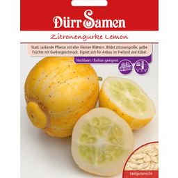 Dürr Samen Zitronengurke Lemon - 1 Pkg