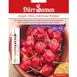 Dürr Samen Super-Chili Carolina Reaper