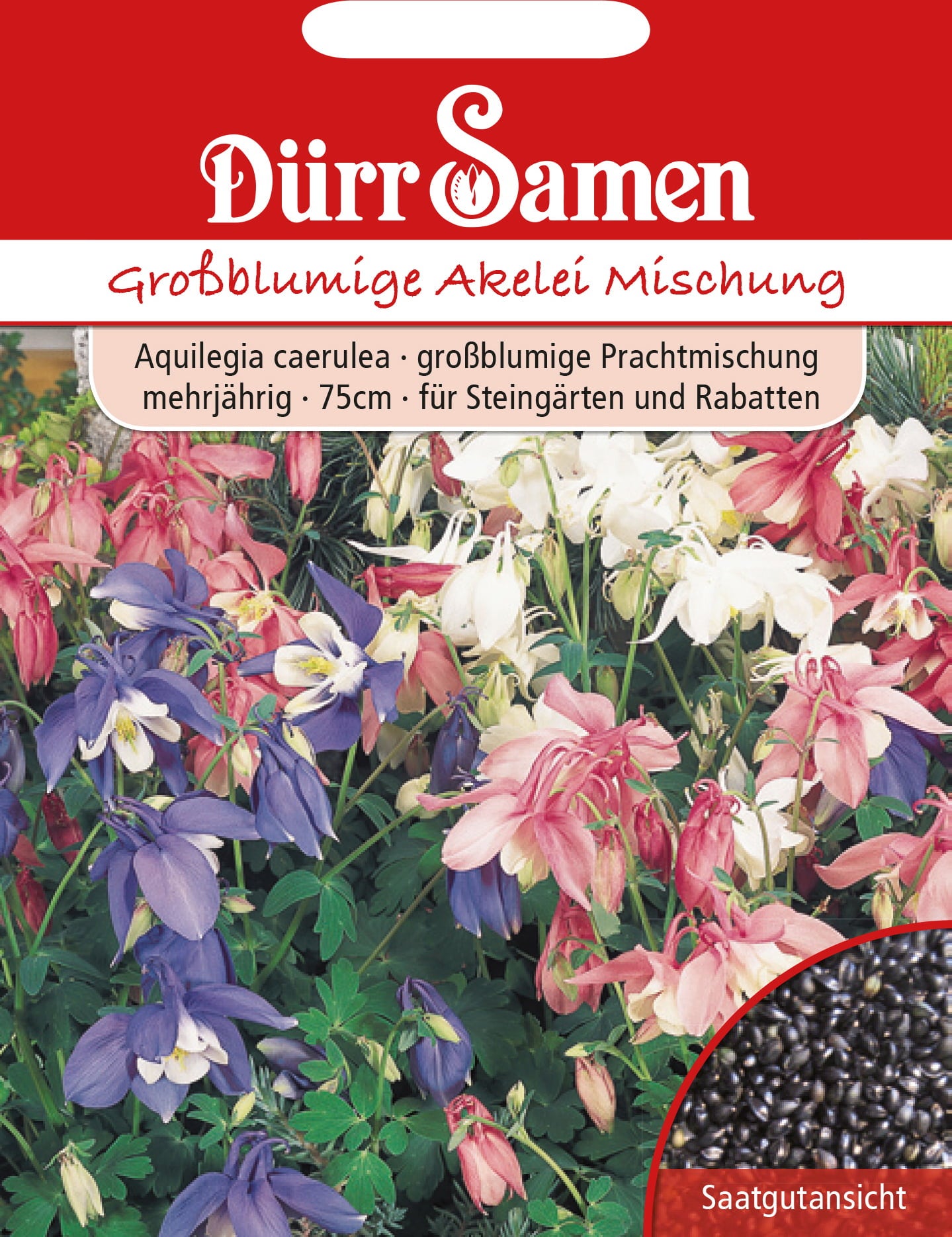 Dürr Samen Akelei - 1 Pkg