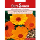 Dürr Samen Ringelblume Mischung