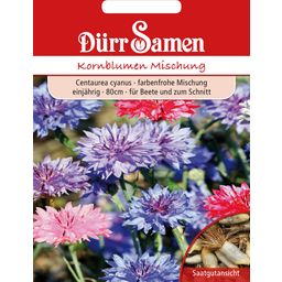 Dürr Samen Kornblume Gefüllte Mischung - 1 Pkg