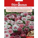 Dürr Samen Kornblume Classic Romantic Mix