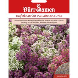 Dürr Samen Duftsteinrich Wonderland Mix - 1 Pkg