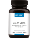 Darm Vital, 60 Kapseln