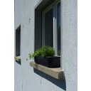 rephorm Fensterbank-Blumenkasten 