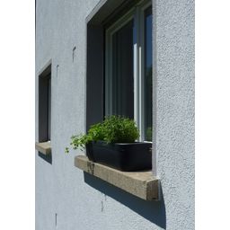 rephorm Fensterbank-Blumenkasten 