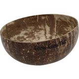 Keimgrün Kokosnuss-Schale